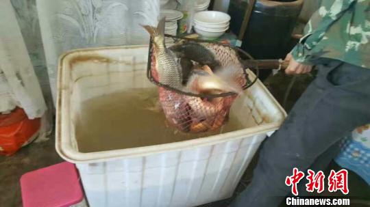 SӃɹźӶȫ_ͨ_~Ρϲ